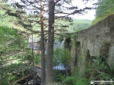 Tejos Rascafría-Valhondillo o Barondillo;el robledal del oso el madrileño guadarrama armallones ri